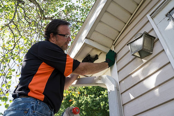 Affordable Siding Repair and Maintenance Services in Hamburg, IA